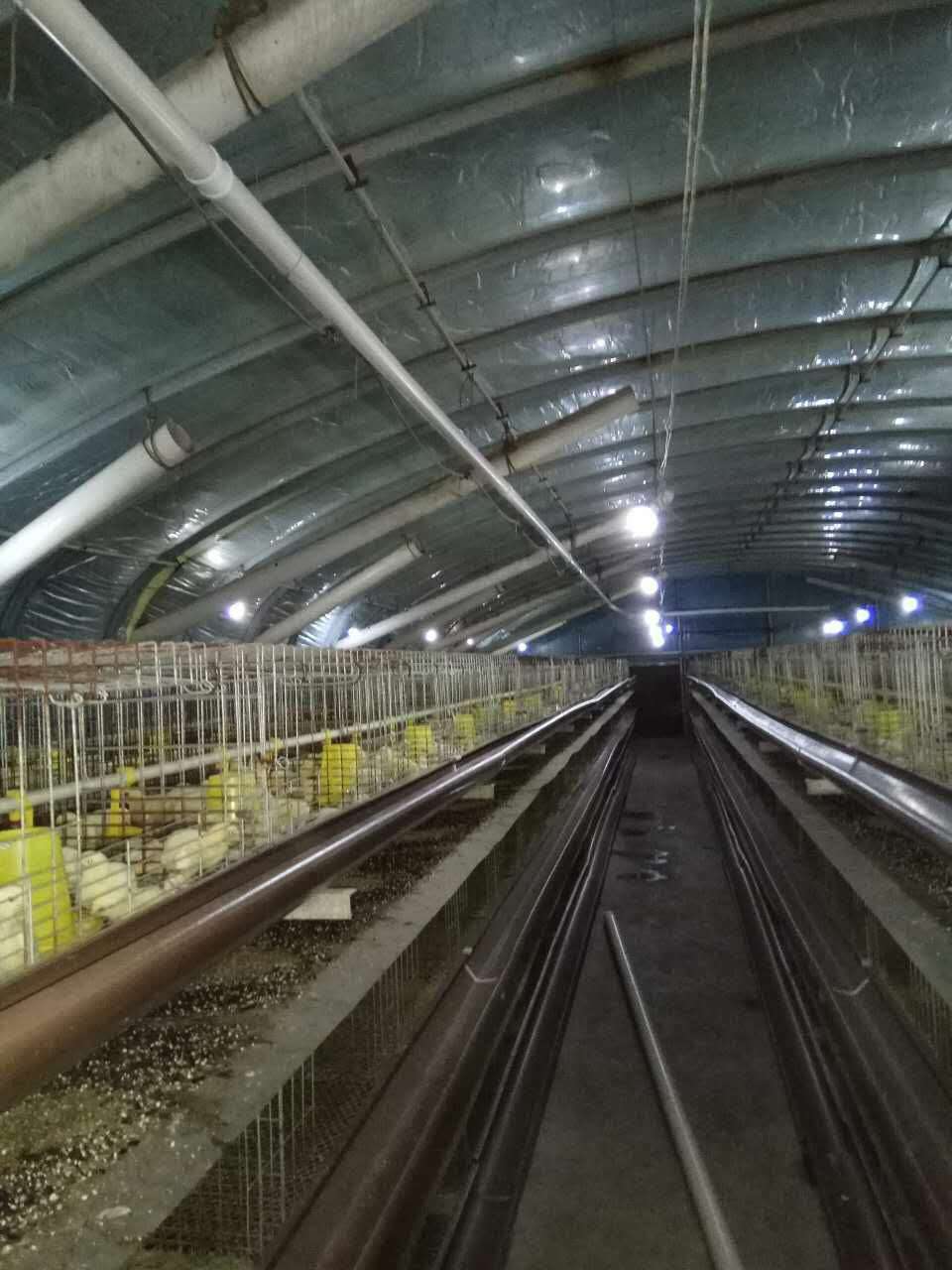 養(yǎng)殖場(chǎng)